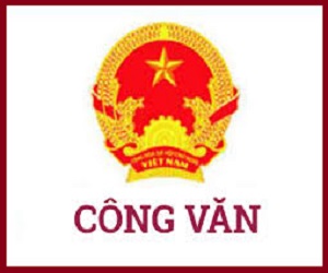 Lịch tiếp công dân quý IV/2024 của Đại biểu HĐND Thành phố Hà Nội